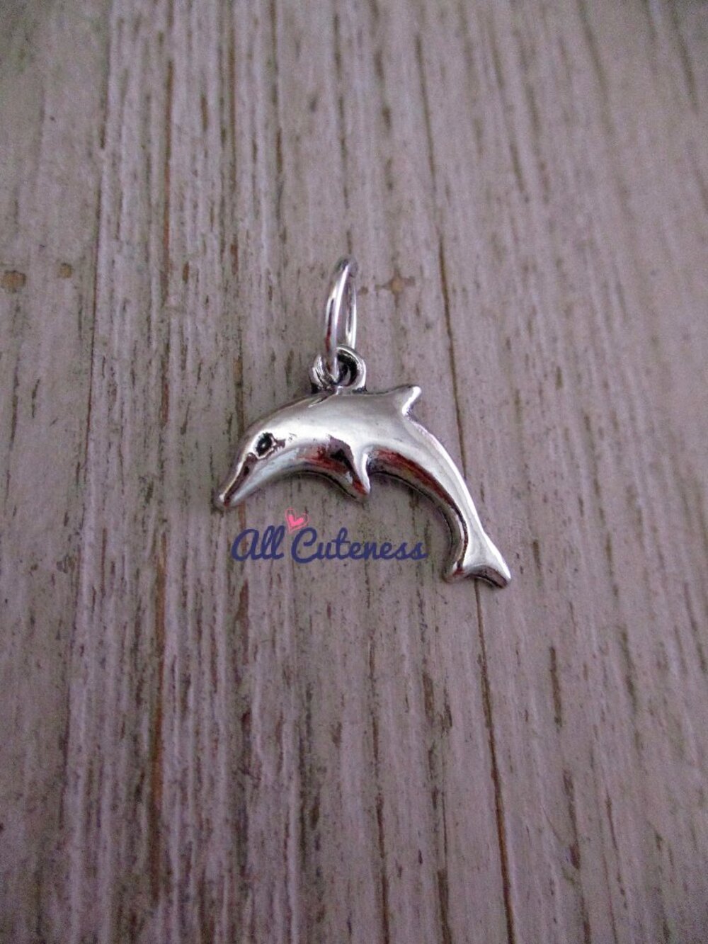 🎀 Dolphin Charm